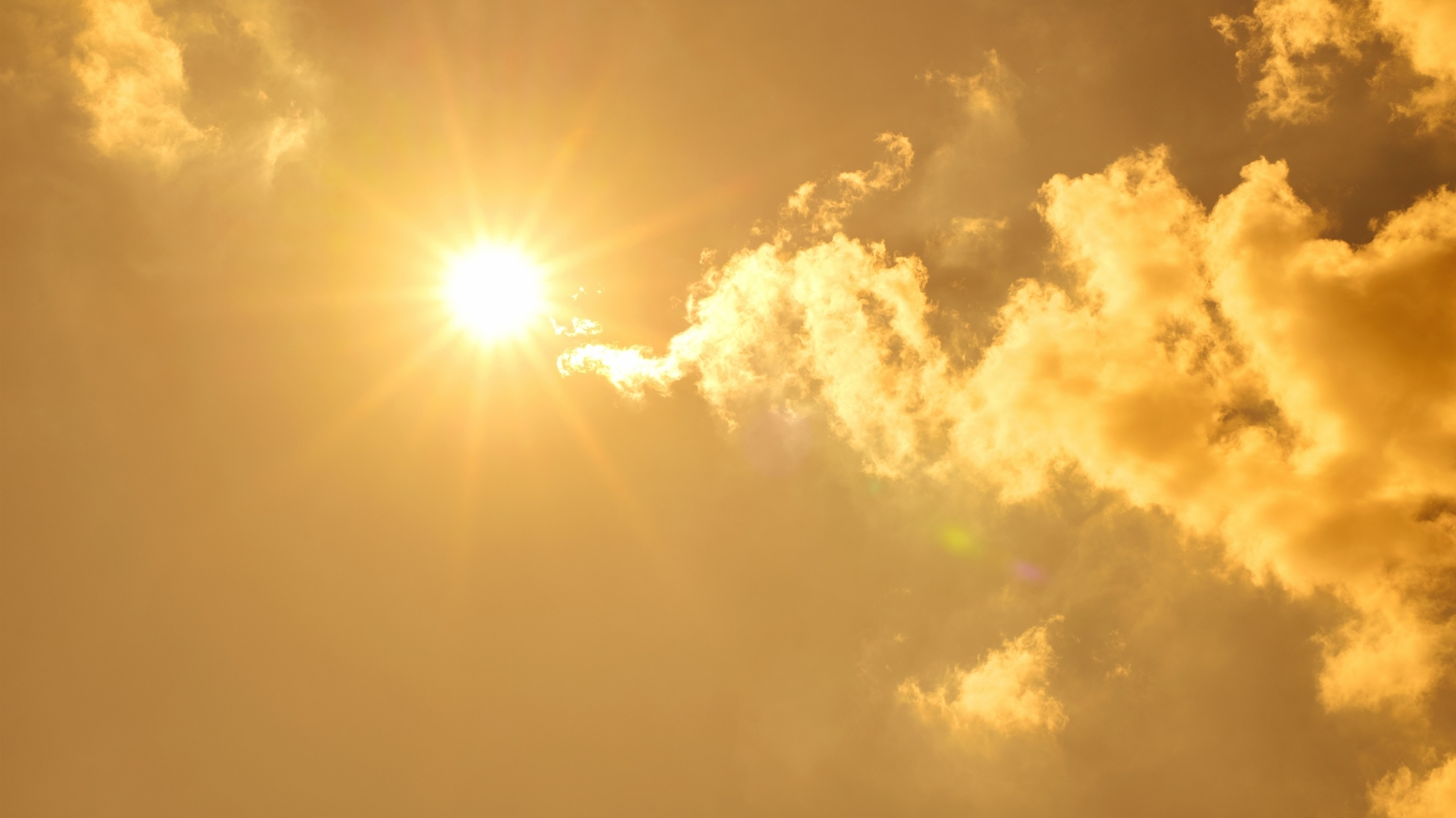 Calor y altas temperaturas