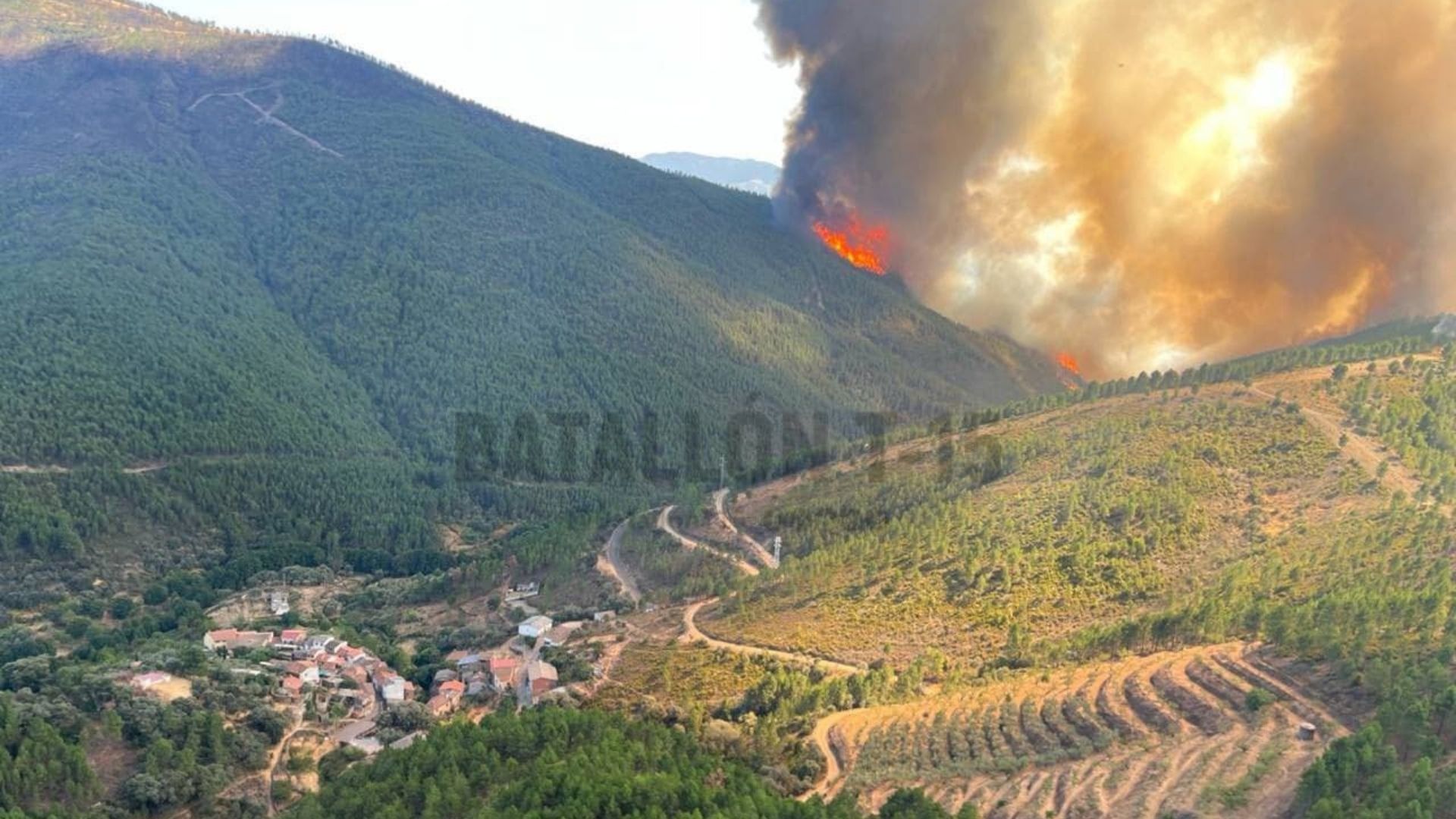 Incendio cerca de la alquería de Avellanar