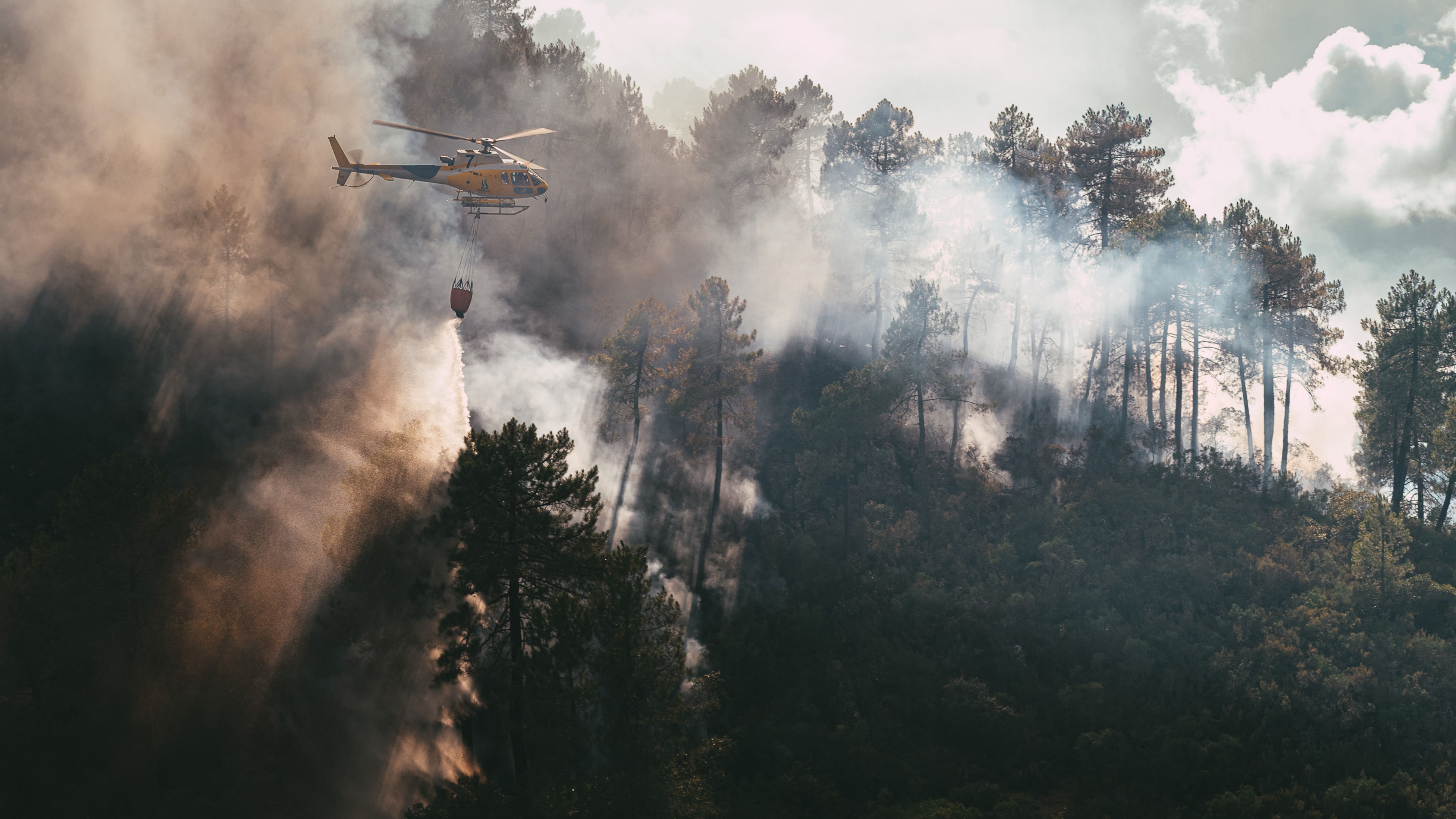 Medios aéreos en el incendio de Pinofranqueado