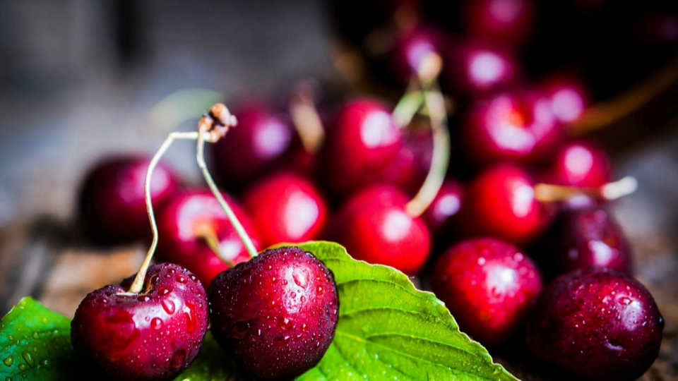 CEREZAS