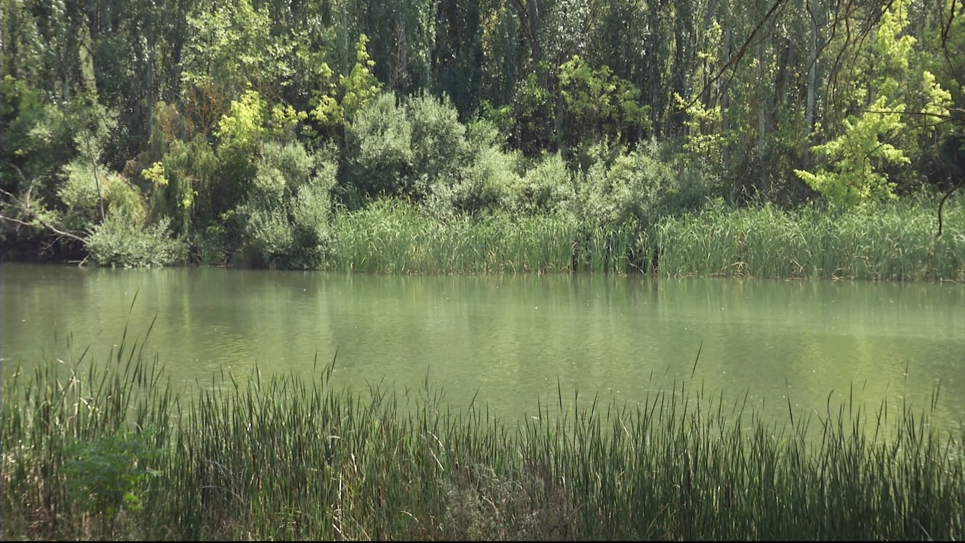 El río Zújar discurre entre vegetación de ribera a su paso por las Vegas Altas, un paisaje de agua y naturaleza que convierte Entrerríos en uno de los rincones fluviales más singulares de Extremadura.