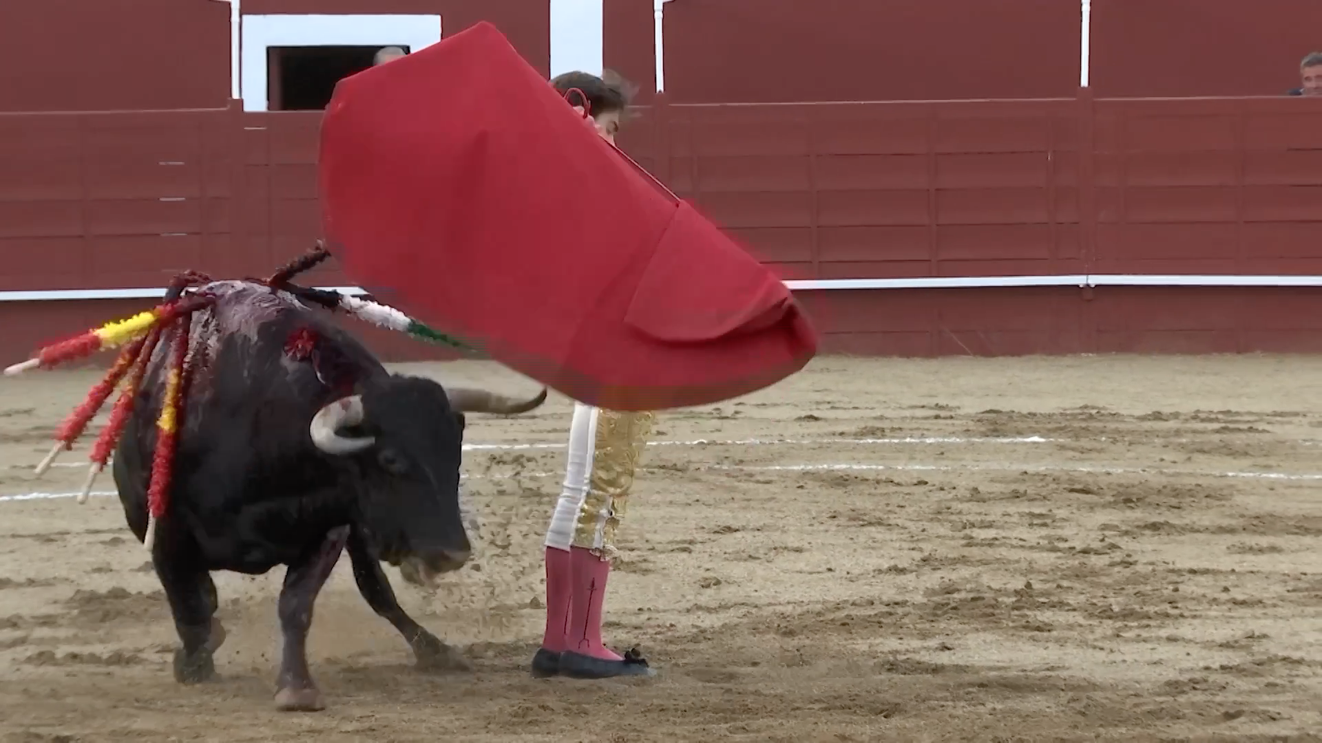 Final Novilladas, Tierra de Toros, Canal Extremadura, Juan Bazaga