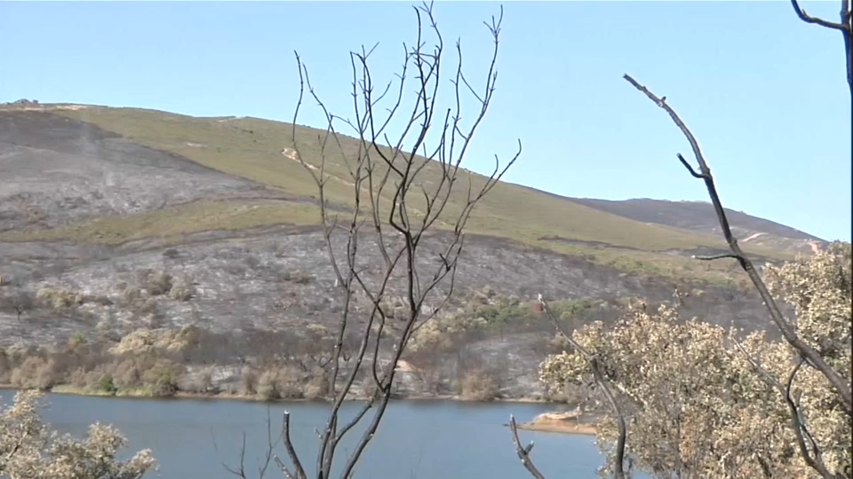 Incendio Casas de Millán