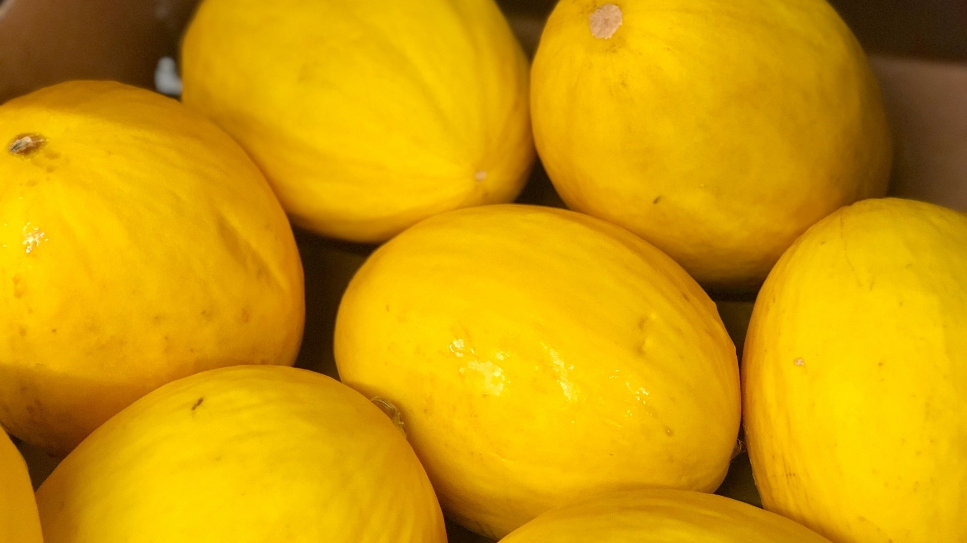 Detalle de varios melones amarillos destinados a su comercialización
