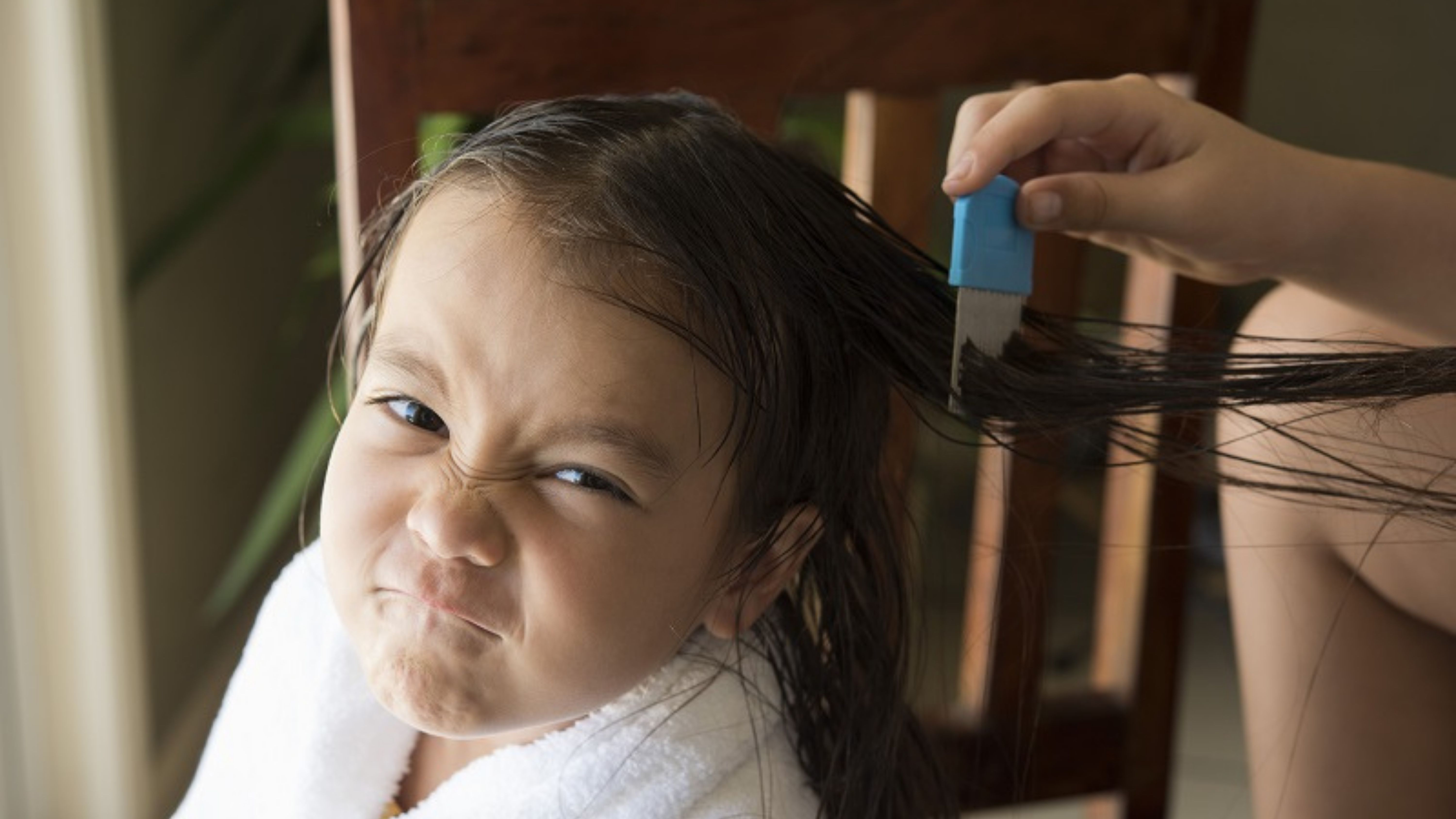 Limpian la cabeza de una niña que tiene piojos. Imagen de Archivo. 