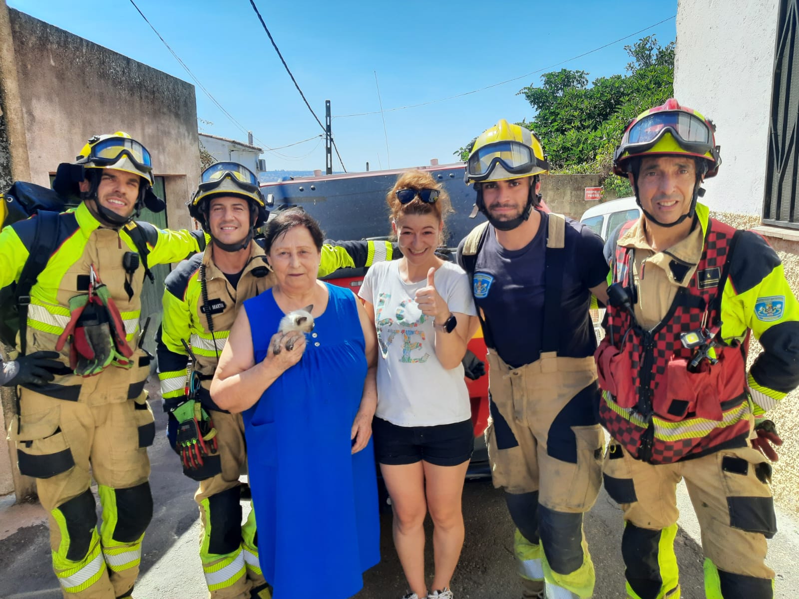 Rescate gato interior de un pozo