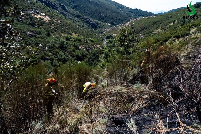 Bomberos del Infoex en el incendio de Tornavacas