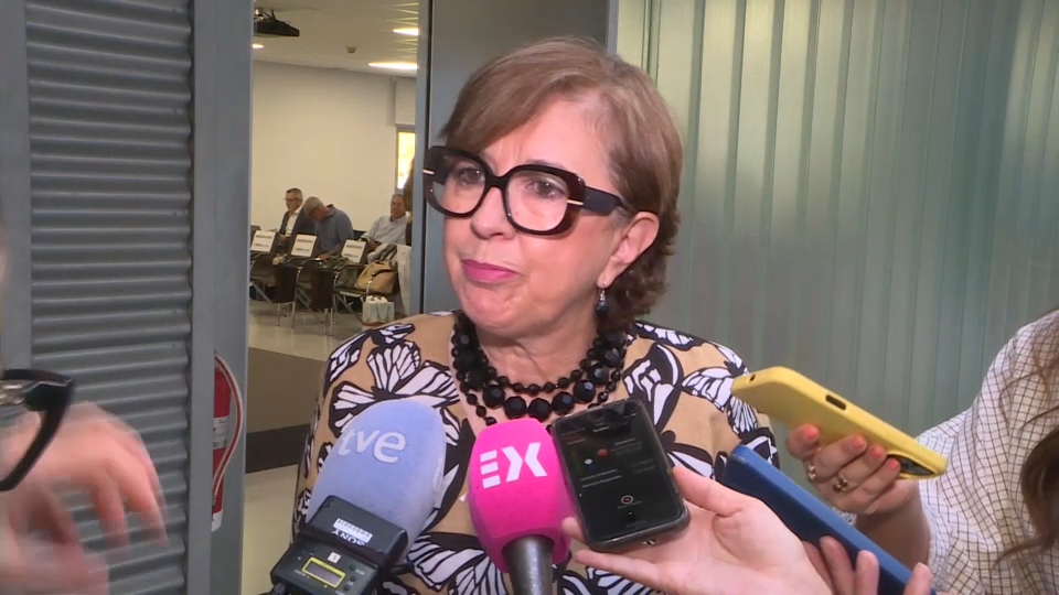 La consejera de Industria, Energía, Ciencia y Territorio, Mercedes Morán