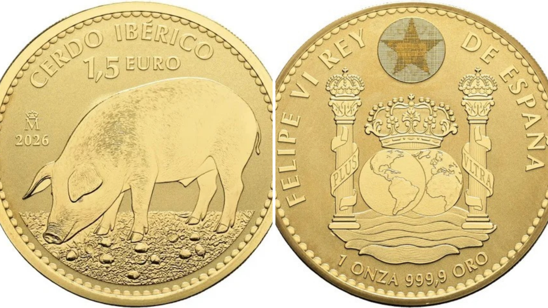 Moneda dedicada al cerdo ibérico
