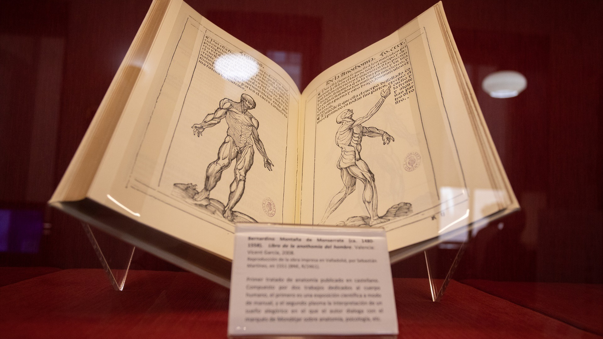Nubeteca celebra el Día de las Bibliotecas con un encuentro entre Elena Álvarez y lectores de toda la provincia
