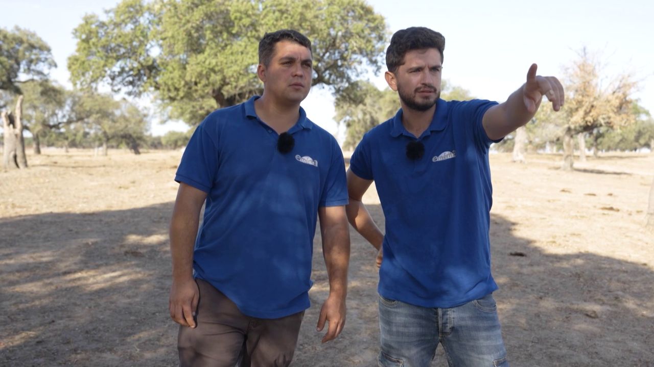 Alberto y Marcos