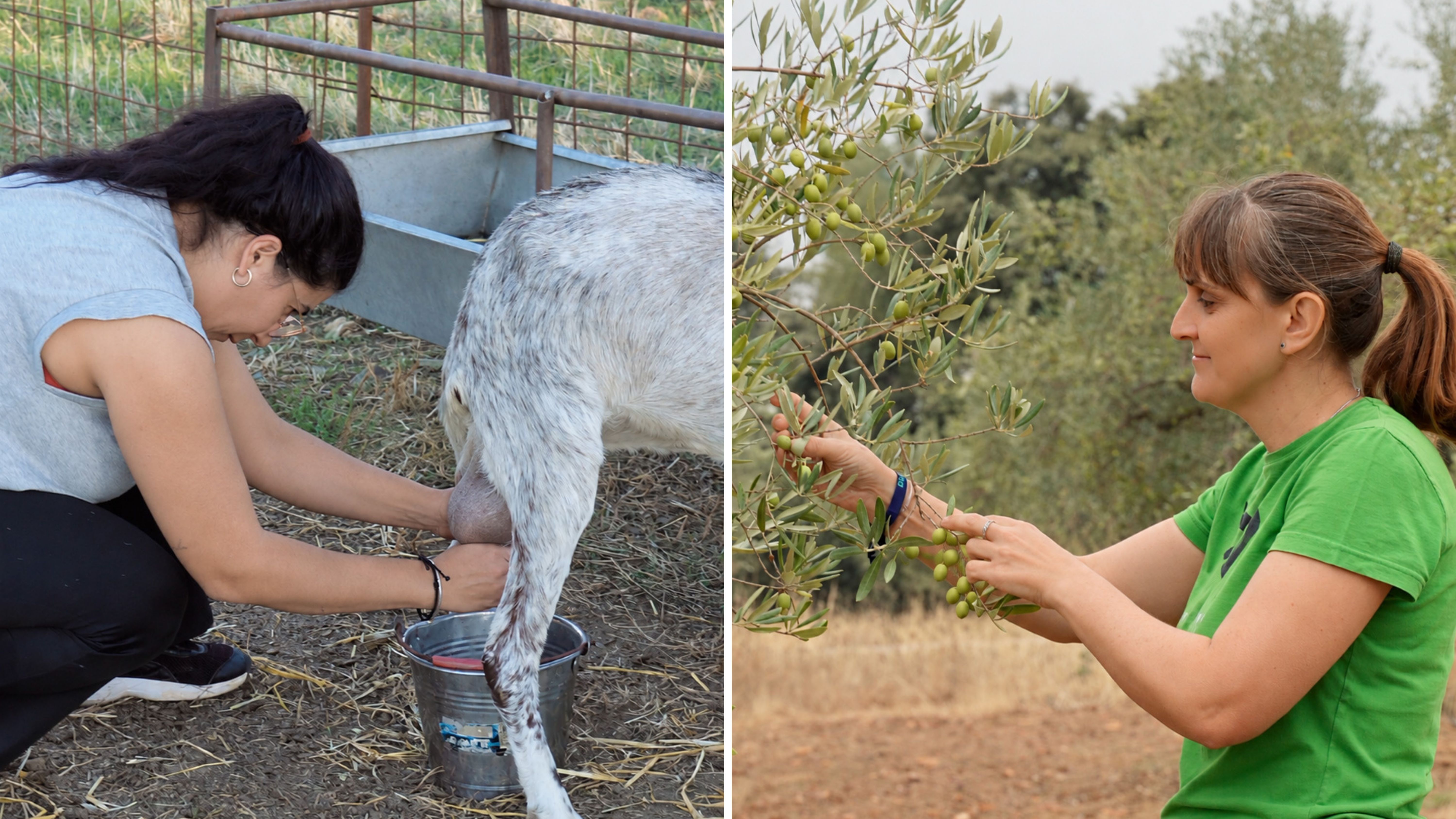 Dos mujeres rurales trabajando en el sector agroalimentario extremeño.