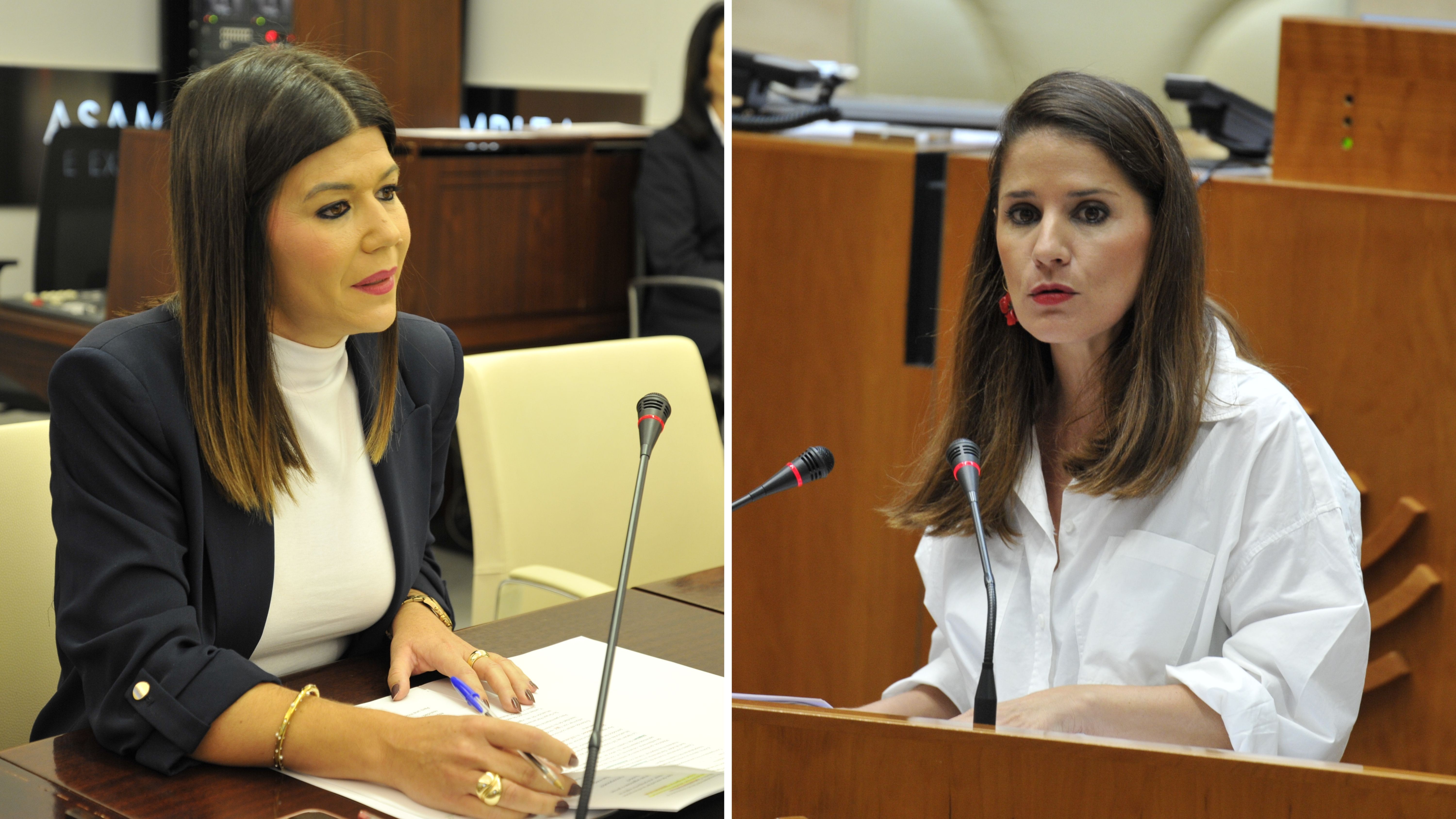 La gerente del Servicio Extremeño de Salud (SES), Encarnación Solís Pérez (i), y la diputada del Grupo Parlamentario Socialista, Isabel Gil Rosiña (d).