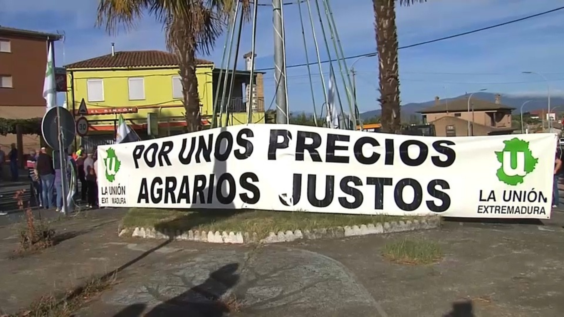 Los olivareros de la manzanilla cacereña paran por los bajos precios