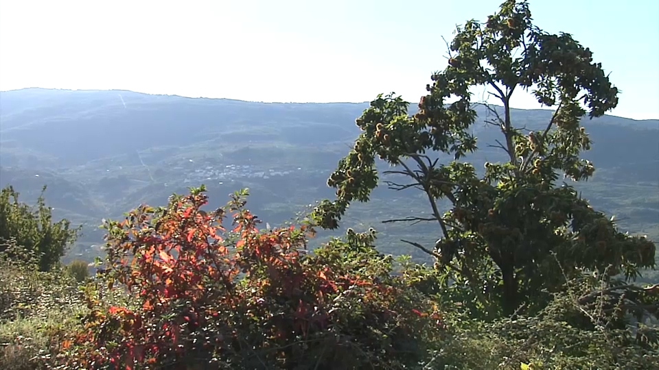 Otoño en el Valle del Jerte
