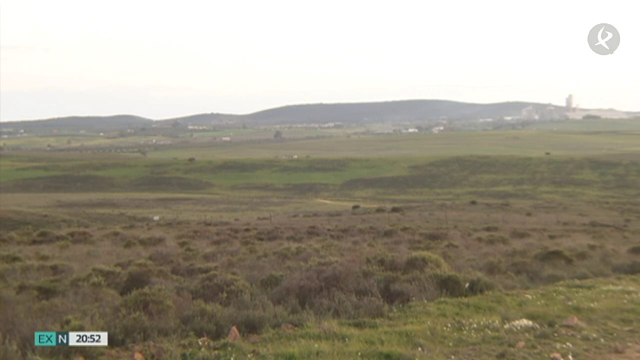 Terrenos de la dehesa boyal del término municipal de Zafra donde se levantará el macromatadero del ibérico. Dehesa y campo cerca de Zafra.