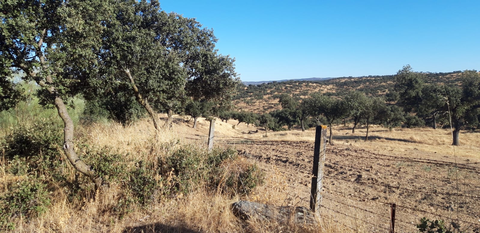 Paraje cercano al lugar de los hechos