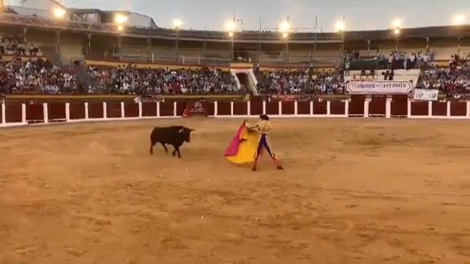 Corrida de toros de Plasencia