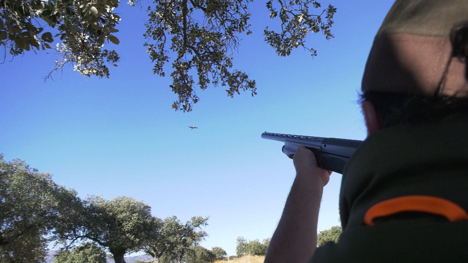 Jornada de caza a palomas