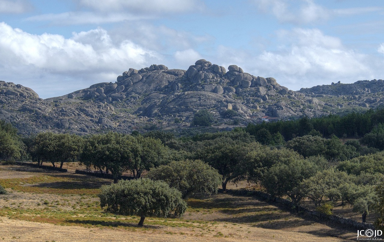 Berrocal de la Data