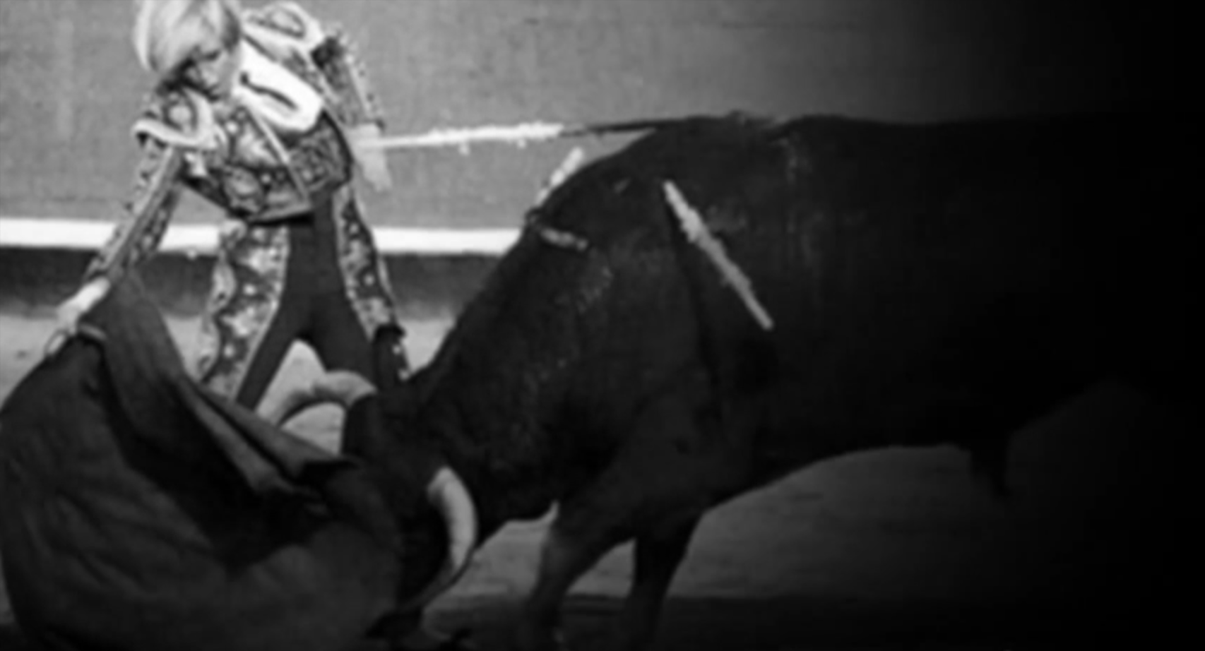 Tierra de Toros| La Mujer en el toro.