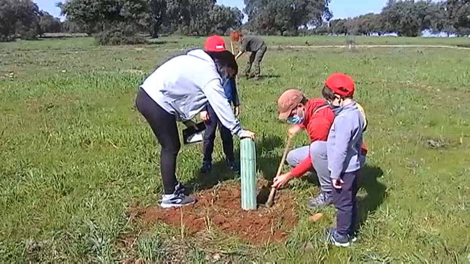 Familia plantando un alcornoque en el Parque Natural de Cornalvo  (Badajoz)