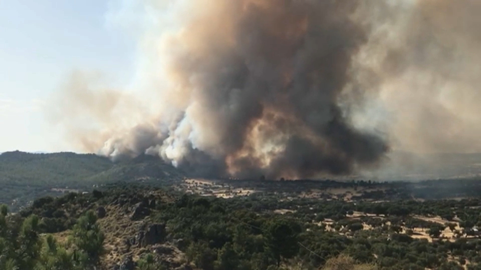 Incendio declarado en Alburquerque.