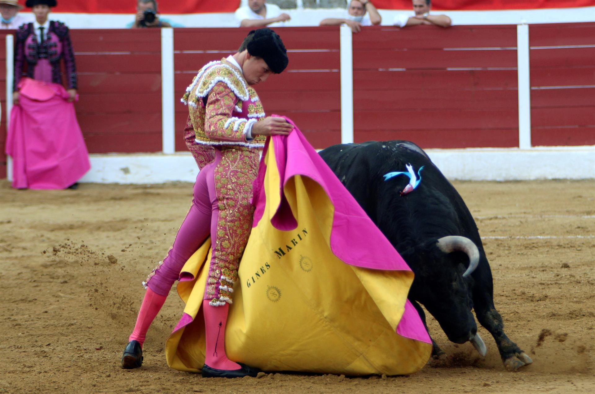 El diestro Ginés Marín, durante su faena hoy sábado en el coso de Fregenal de la Sierra, enclavado en el patio de armas del castillo templario de la localidad extremeña.