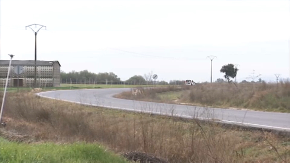 Carretera cerca de Rosalejo