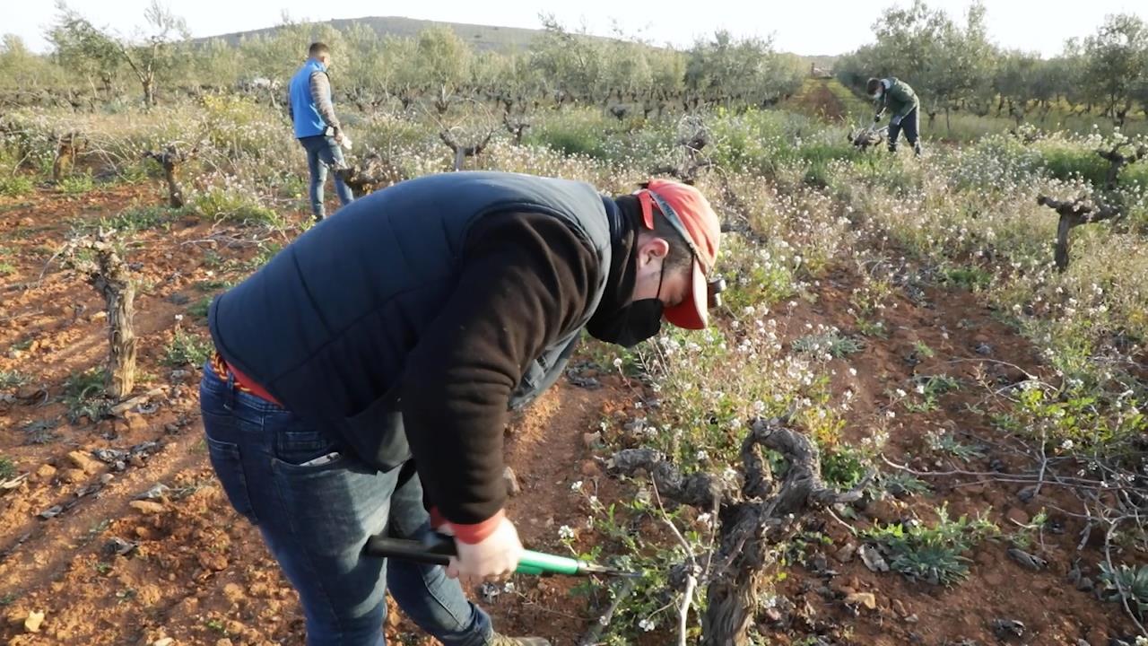 jóvenes agricultores