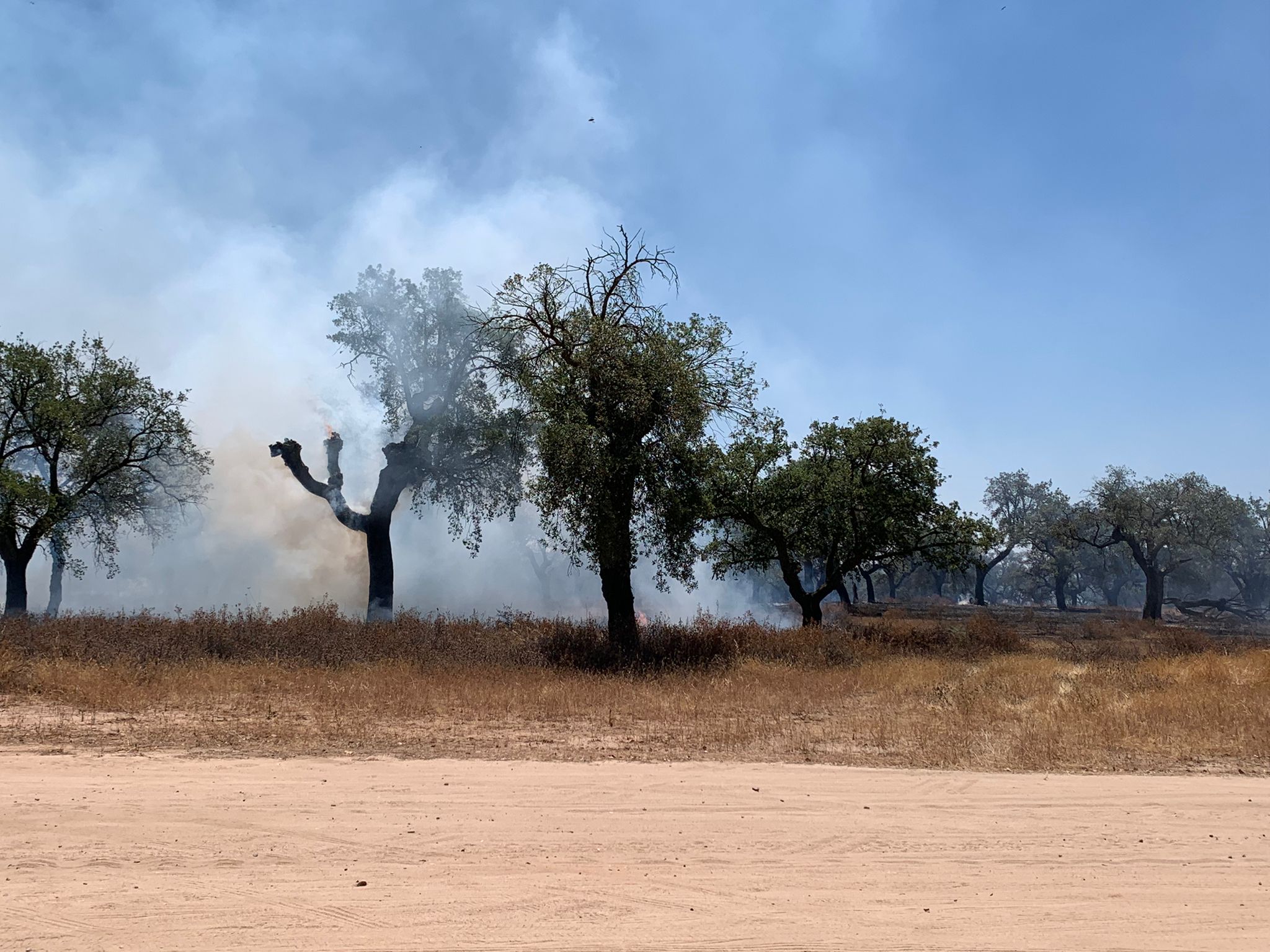 Incendio en la zona de Manantío, en Badajoz