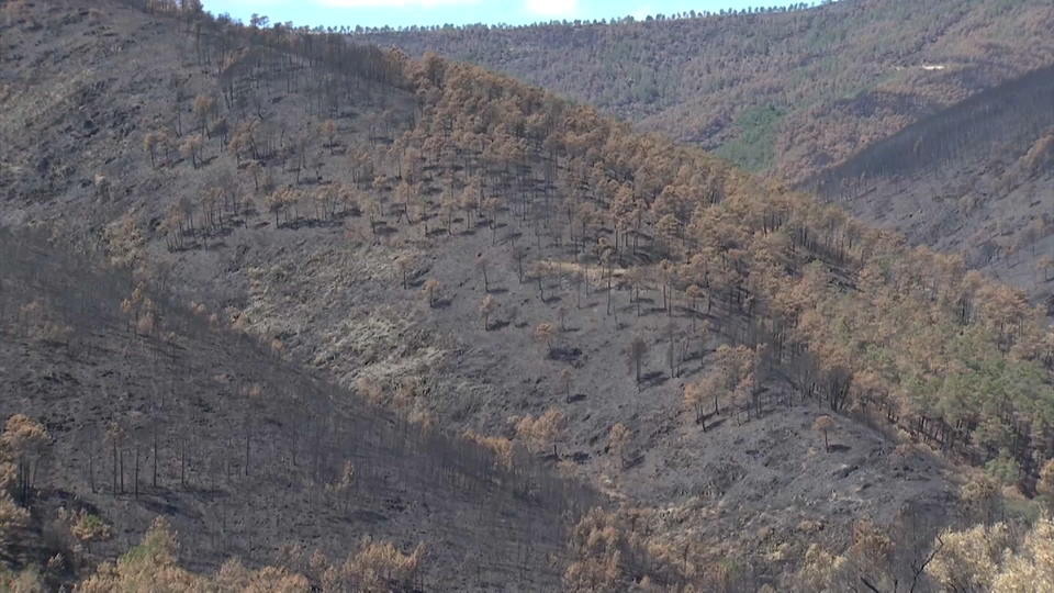 Un mes del incendio de Monfragüe