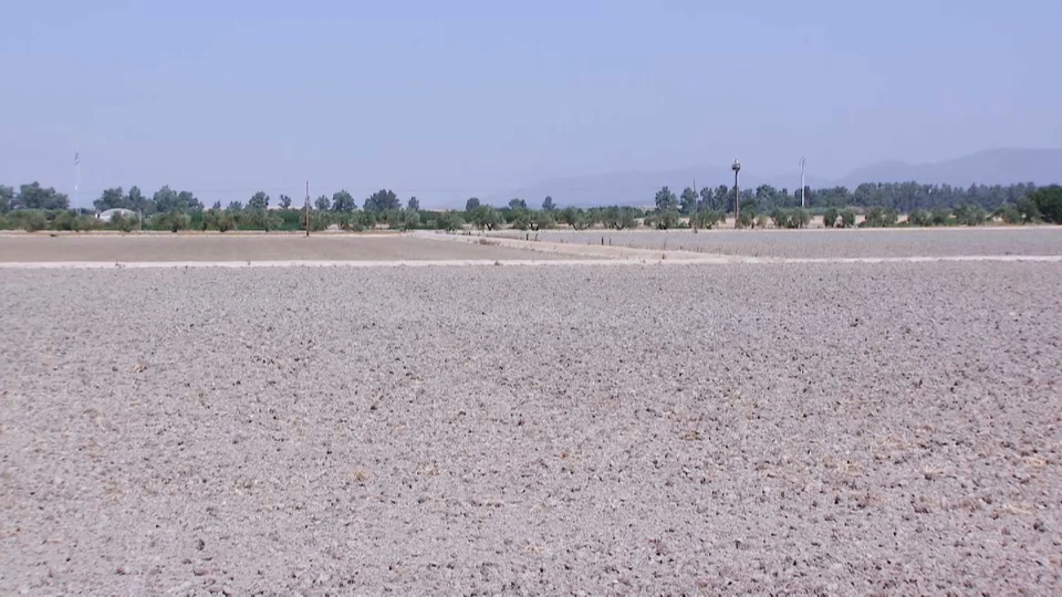Imagen de un campo seco por la sequía