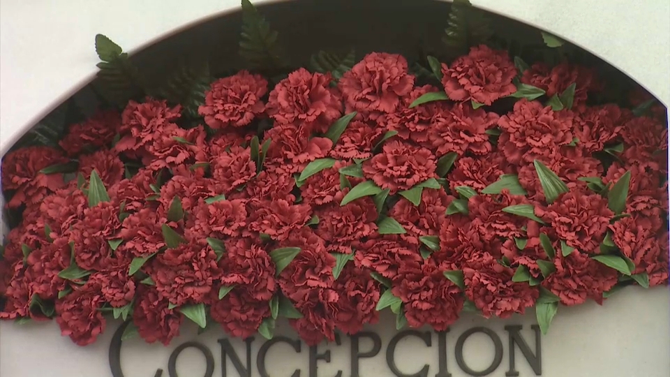 flores cementerio