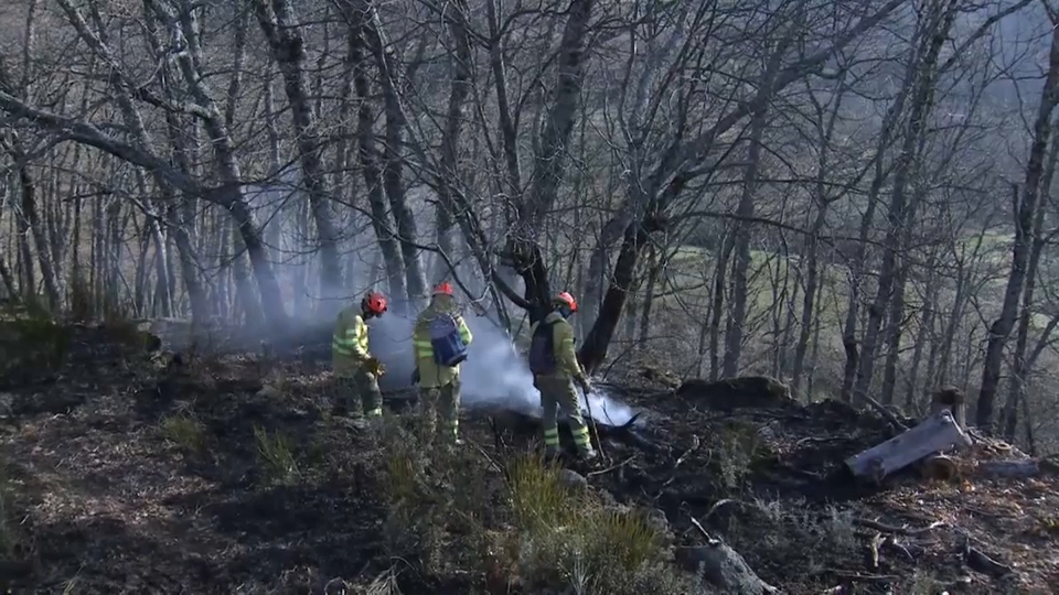 Bomberos forestales