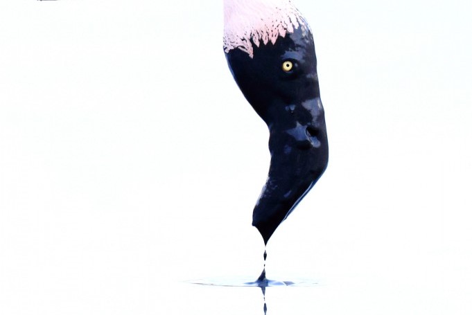 'The Pen and Inkwell'