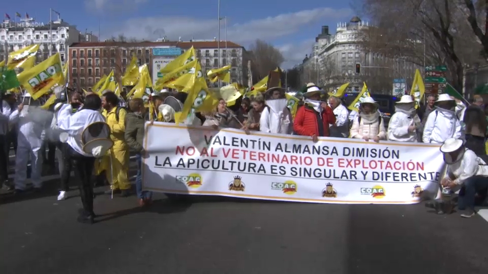 Apicultores se manifiestan en Madrid