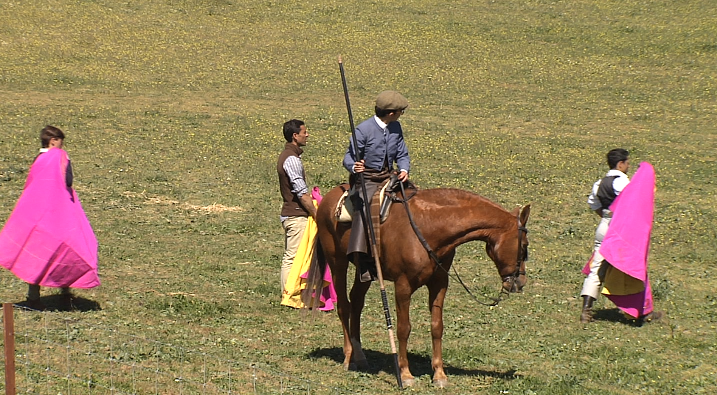 Antigüedad Tentadero de Machos Garrochista Gonzalo Higuero Acoso y Derribo Tierra de Toros Canal Extremadura