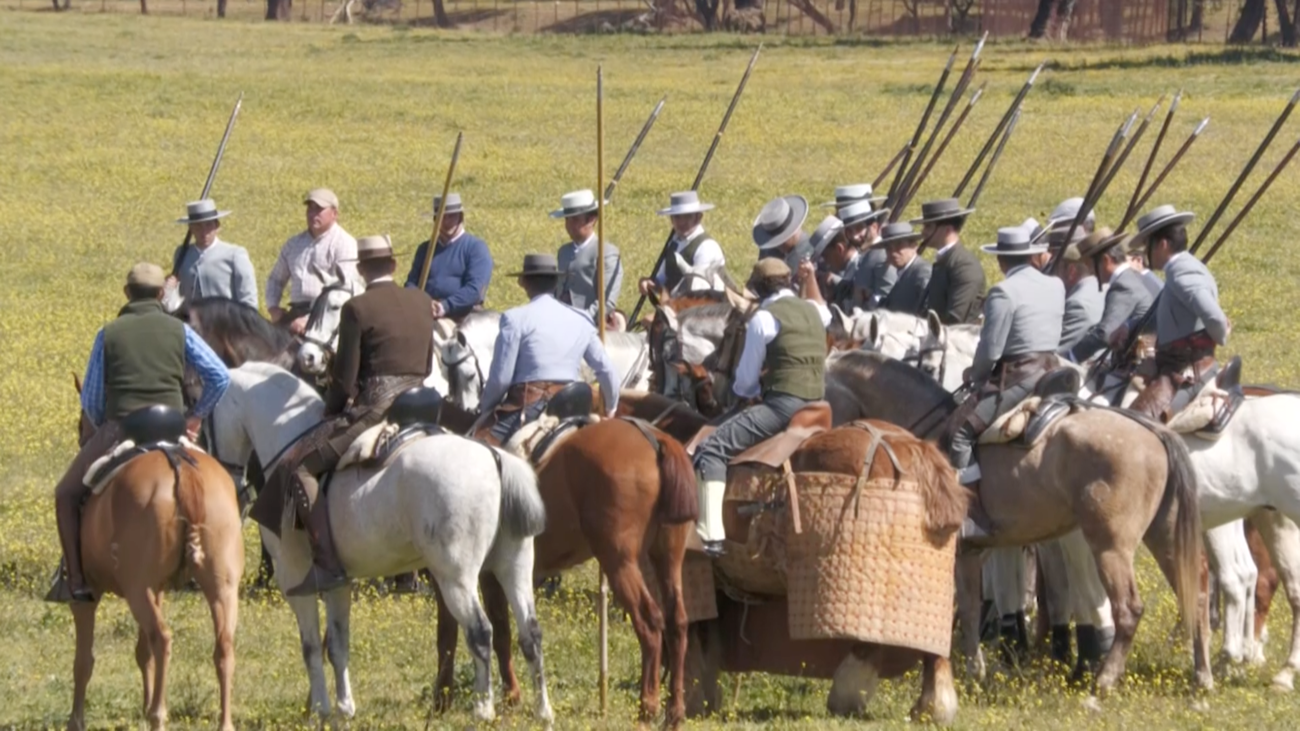Tentadero Machos Puntal Acoso y Derribo Miguel Higuero Tierra de Toros Canal Extremadura