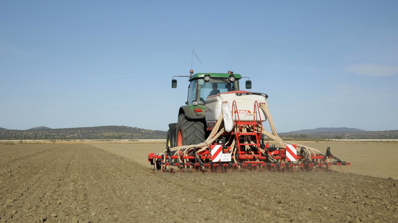 Trabajos de siembra de arroz en una finca de las Vegas Altas del Guadiana