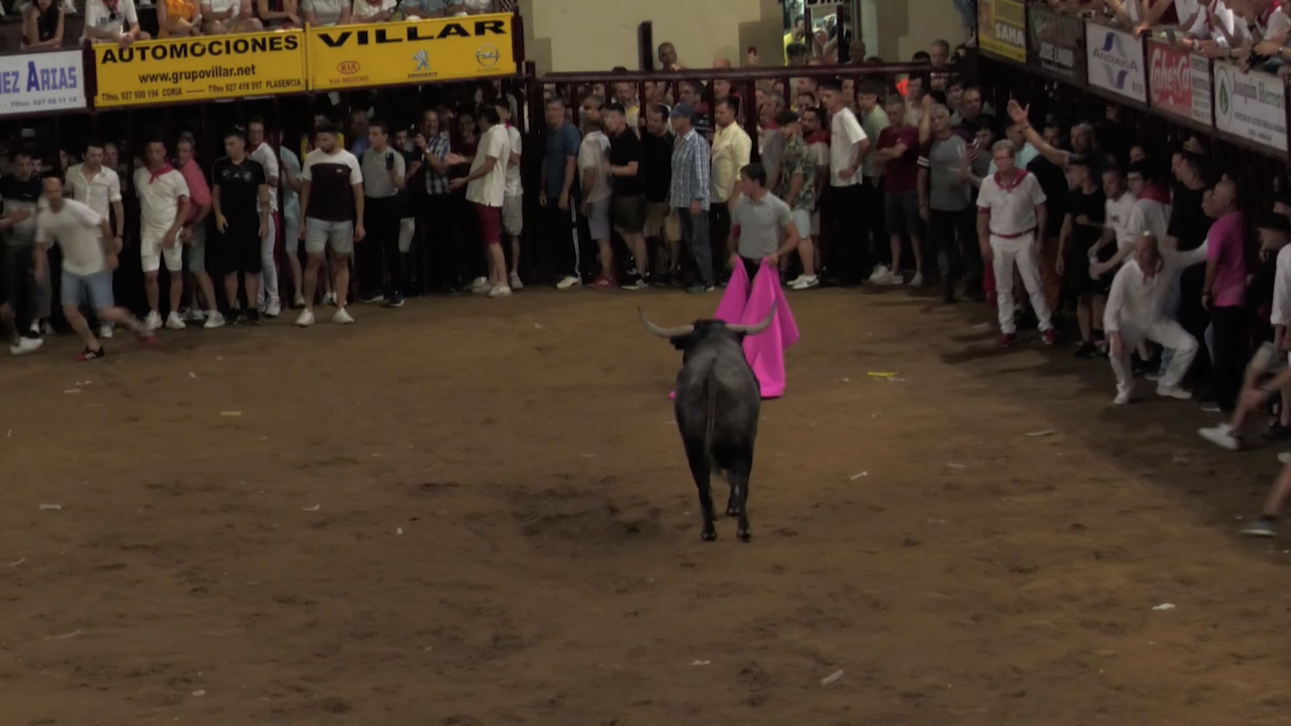 Victorino Martín San Juan Coria Sanjuanes Encierro Plaza Calle Fiesta  Toro Tierra de Toros Canal Extremadura