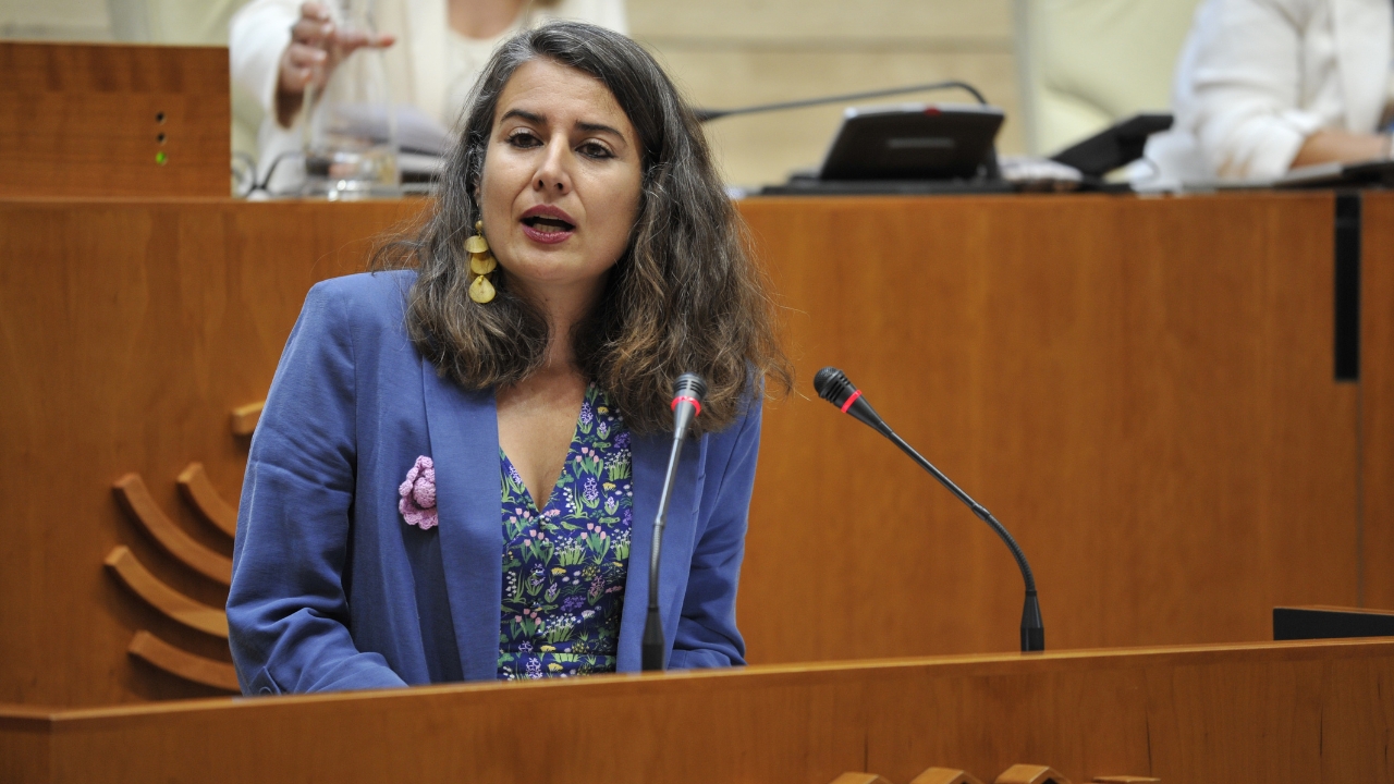 Irene de Miguel durante la sesión de investidura de María Guardiola