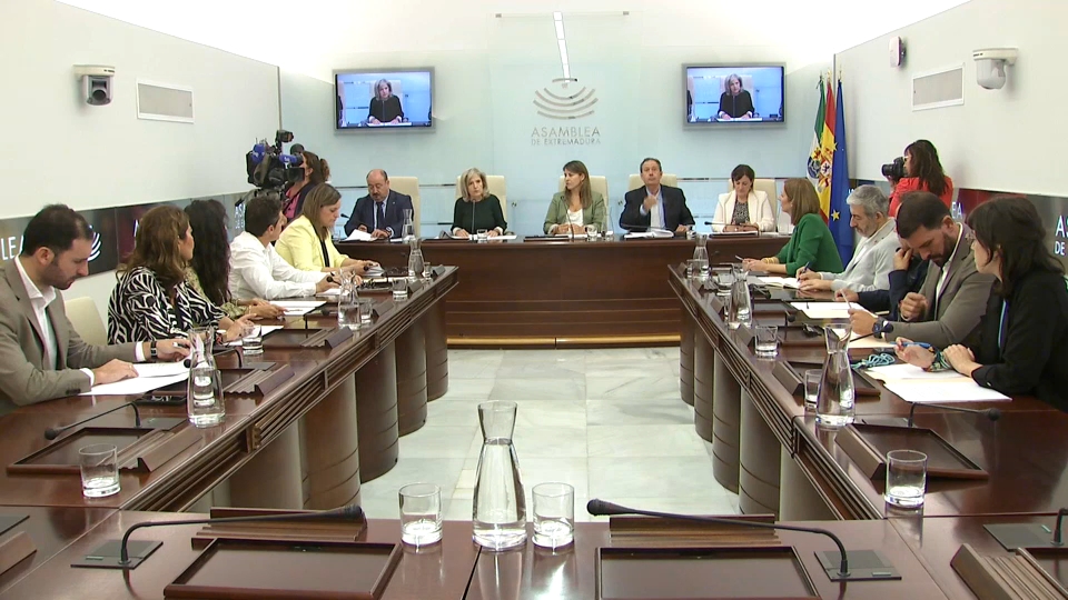 Comisión de cultura