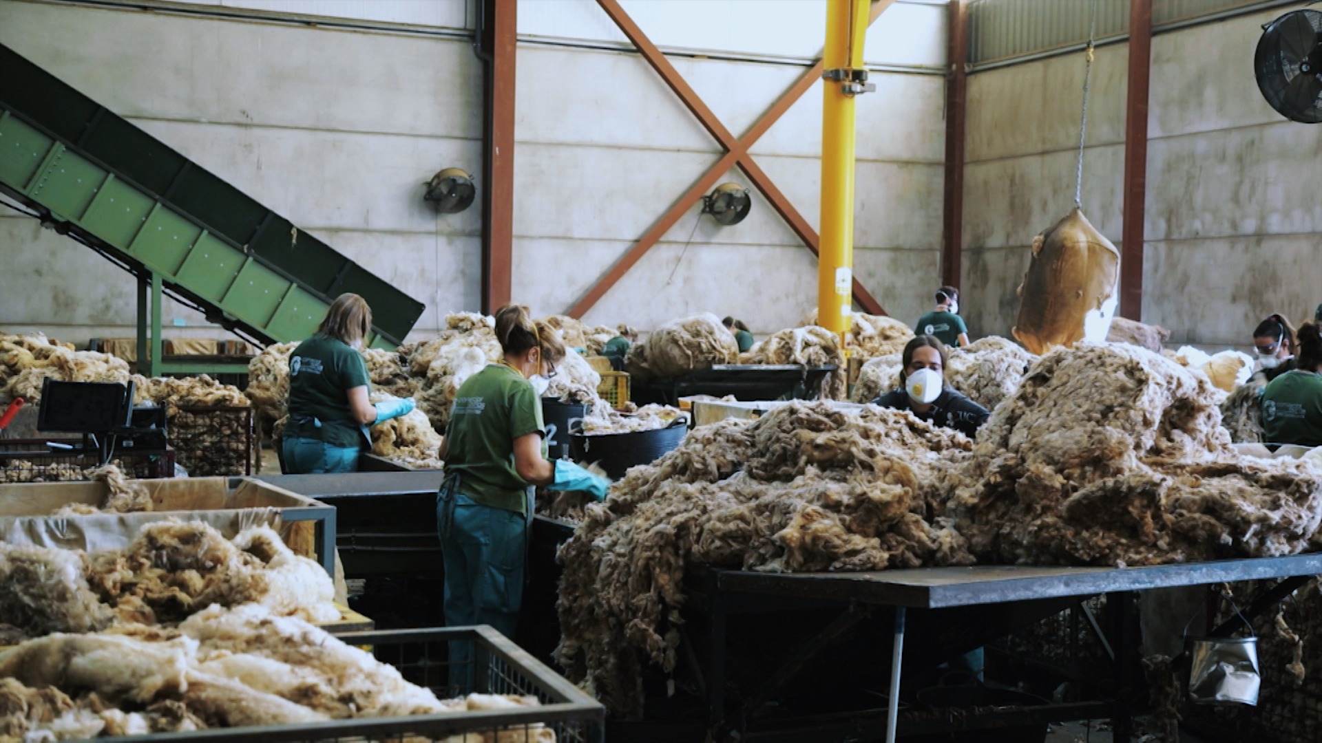 Trabajadoras clasificando lana