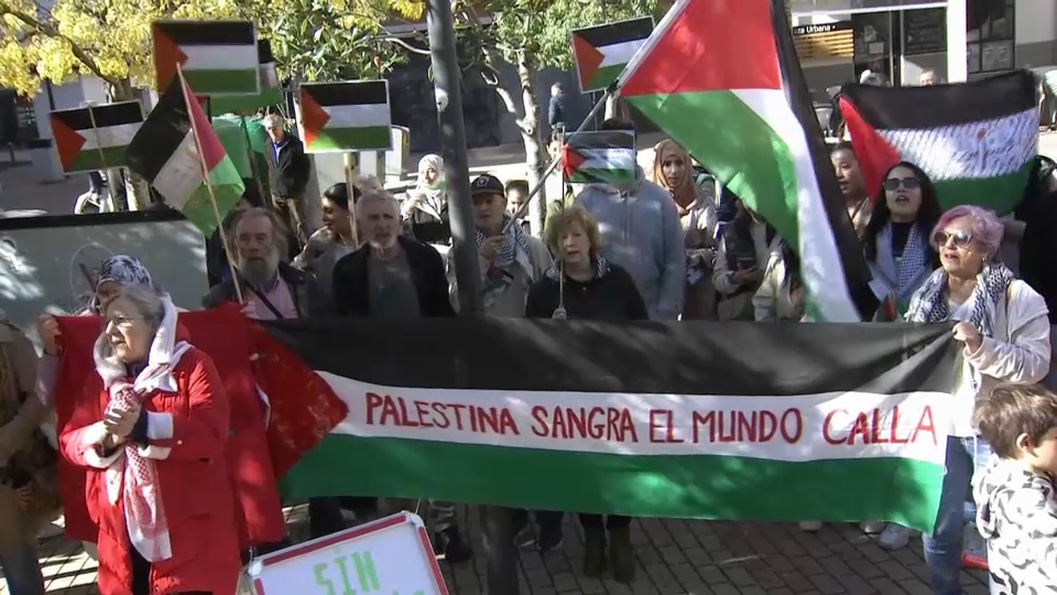 Protesta pro Palestina