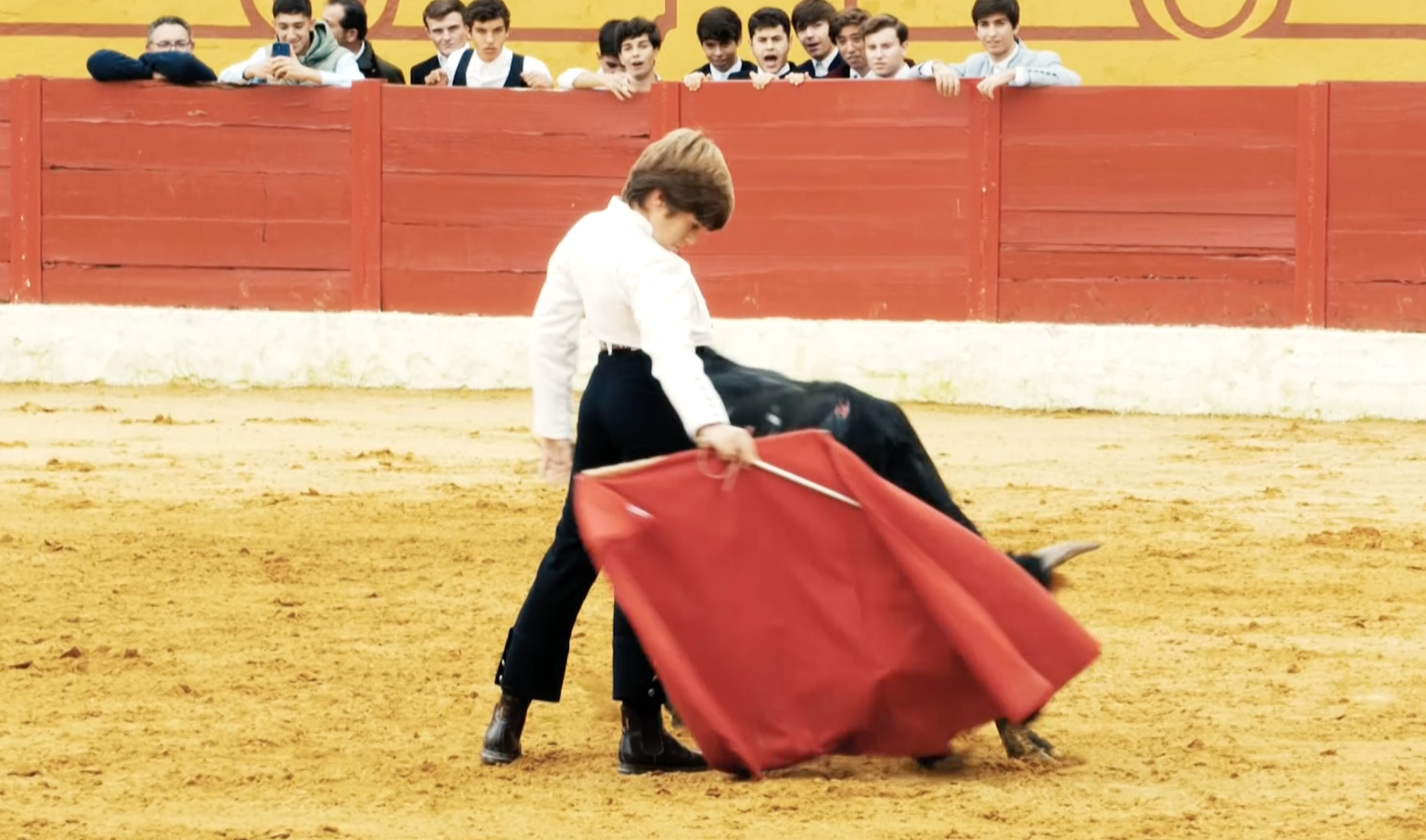 Joao Belmonte, Belmontino, Belmonte Chico, Prates, Novillero, Escuela Taurina, Badajoz, Moita, Portugal, Juan Bazaga, Tierra de Toros, Canal Extremadura