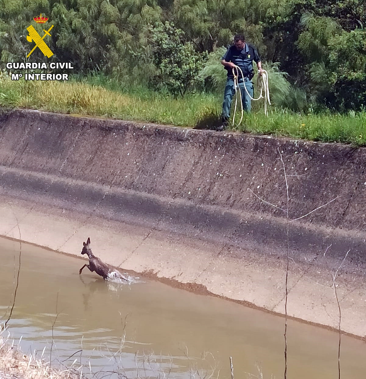 Rescate en el Canal de Las Dehesas