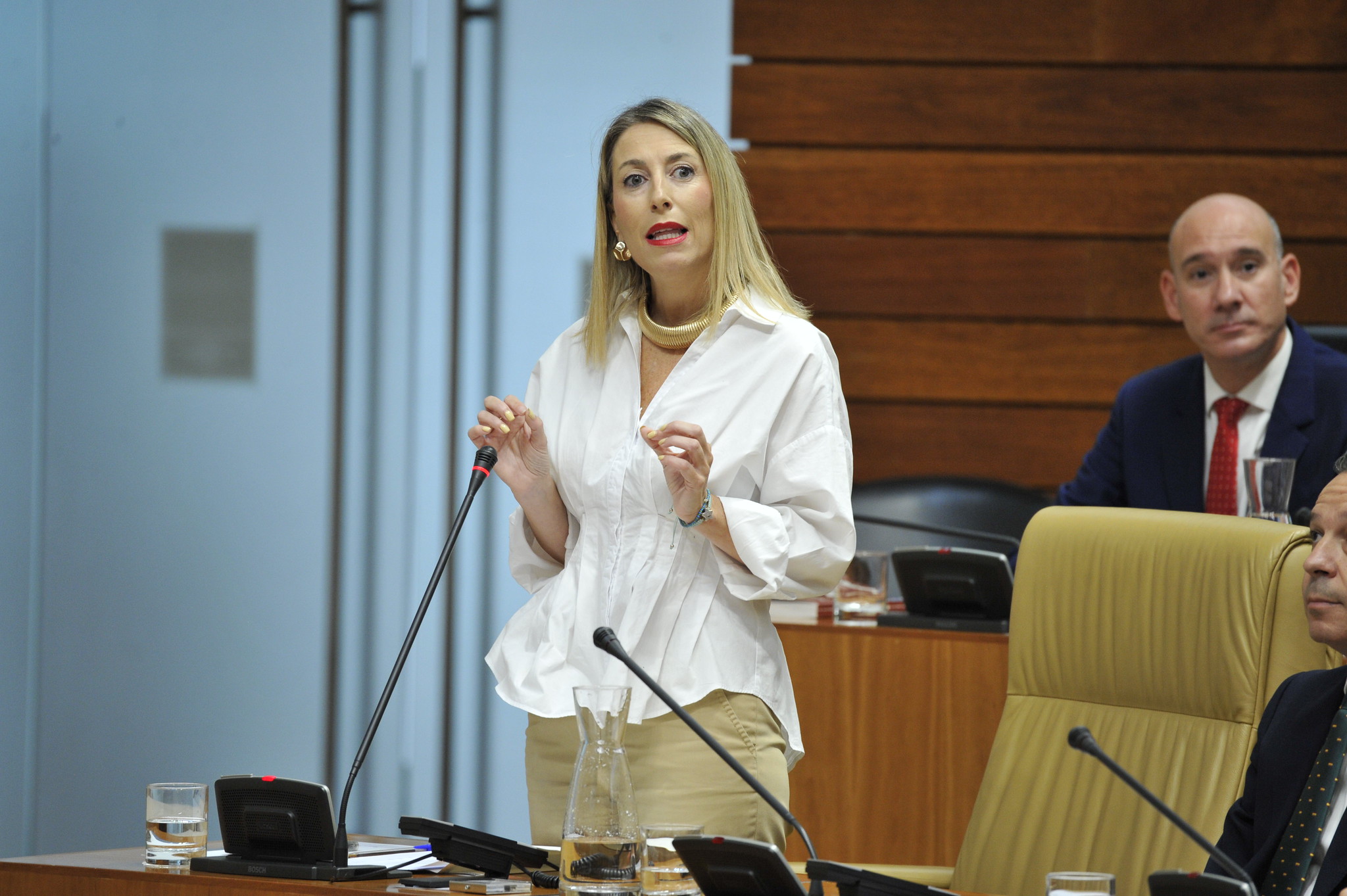ASAMBLEA DE EXTREMADURA