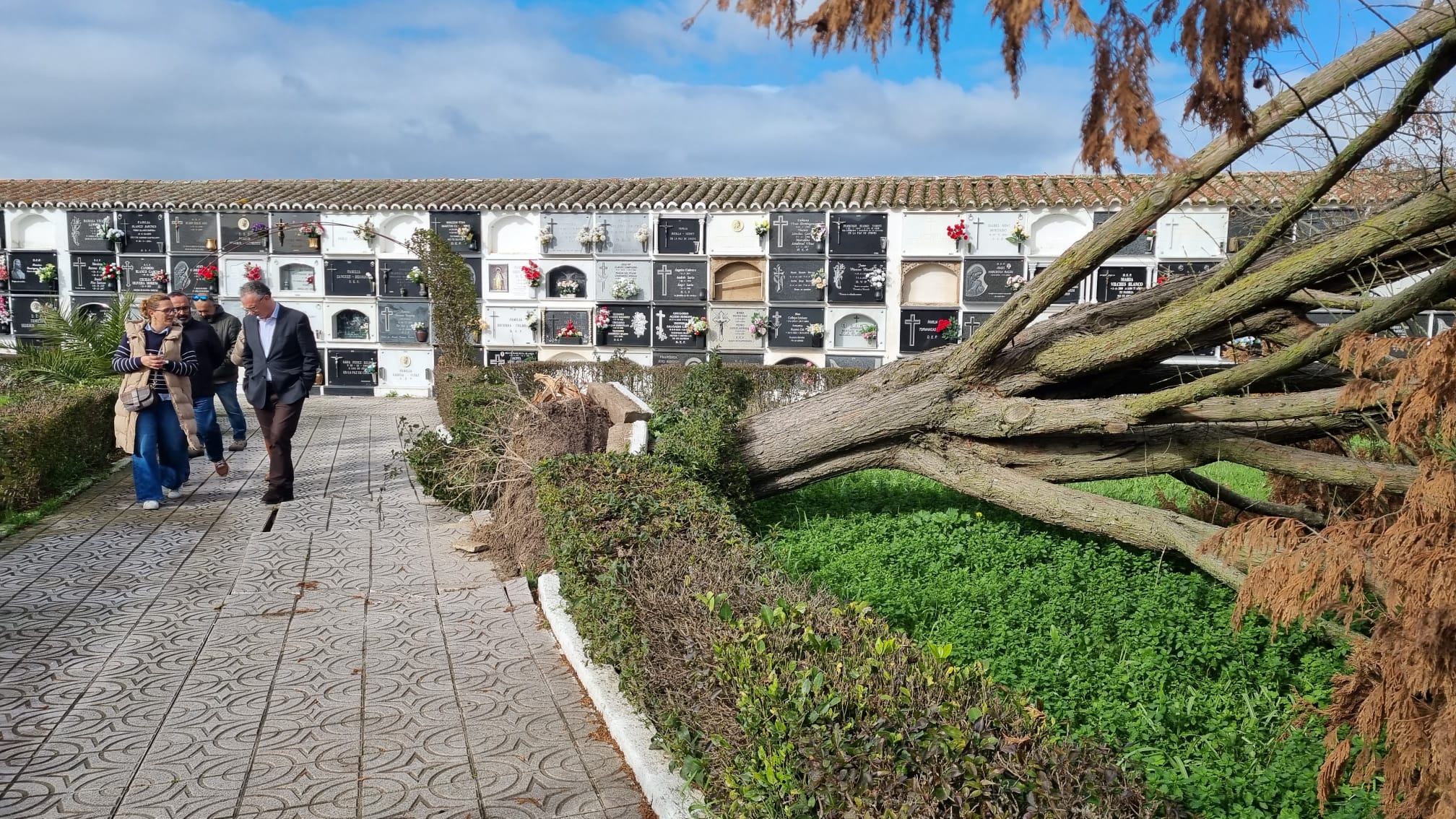 Cedida
