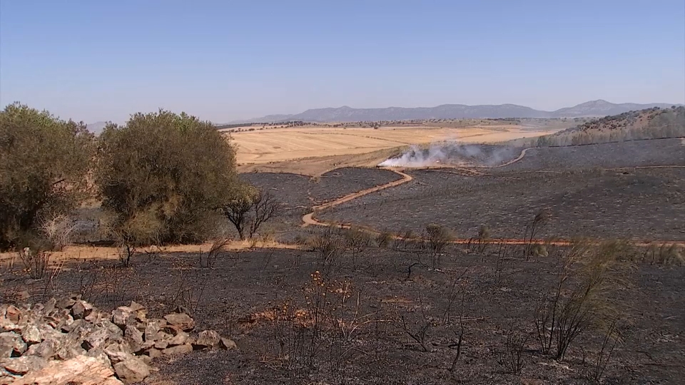 Interior adelanta al próximo 1 de junio el inicio de la campaña estatal estival contra los incendios forestales